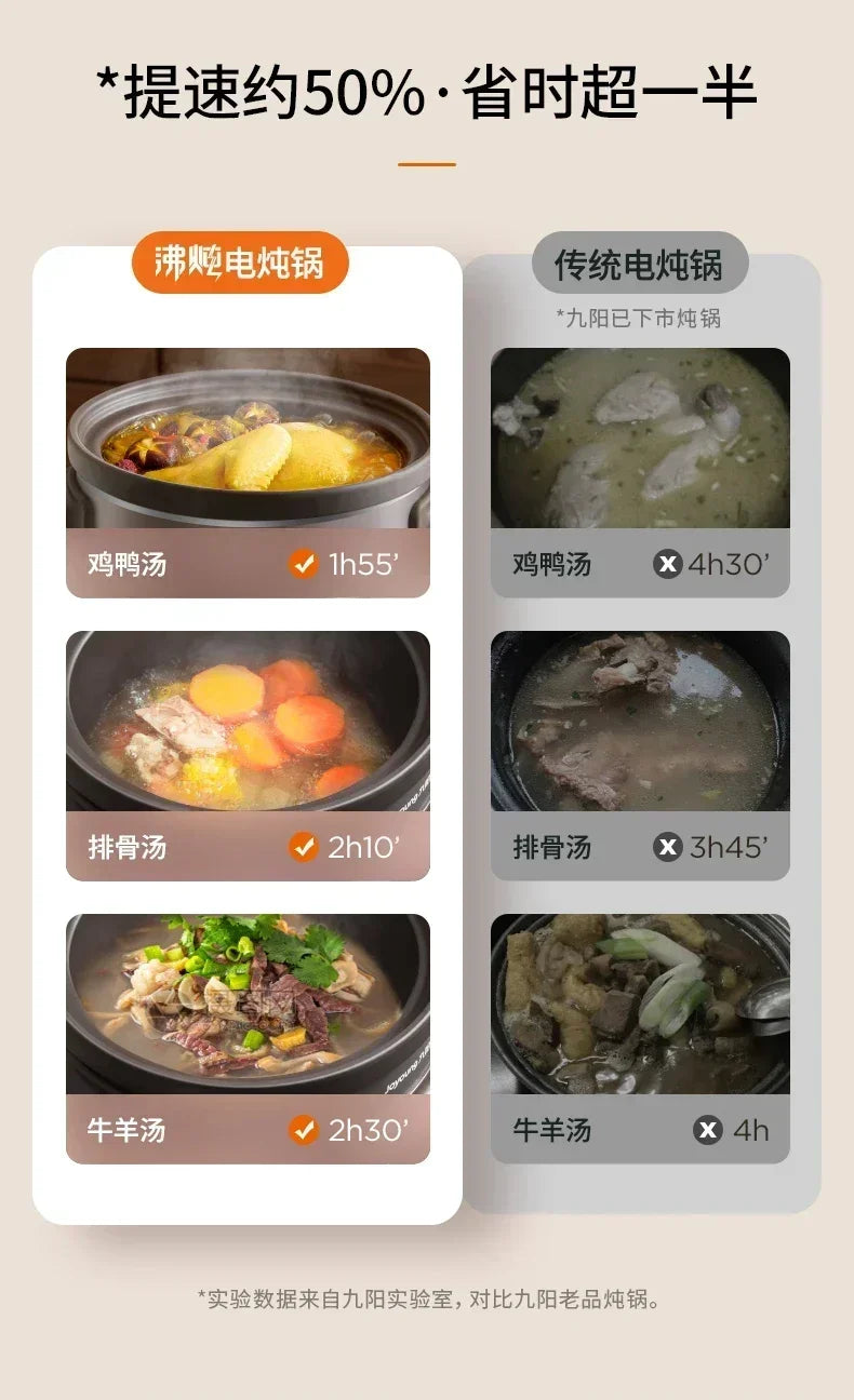 220V Automatic Electric Stew Pot