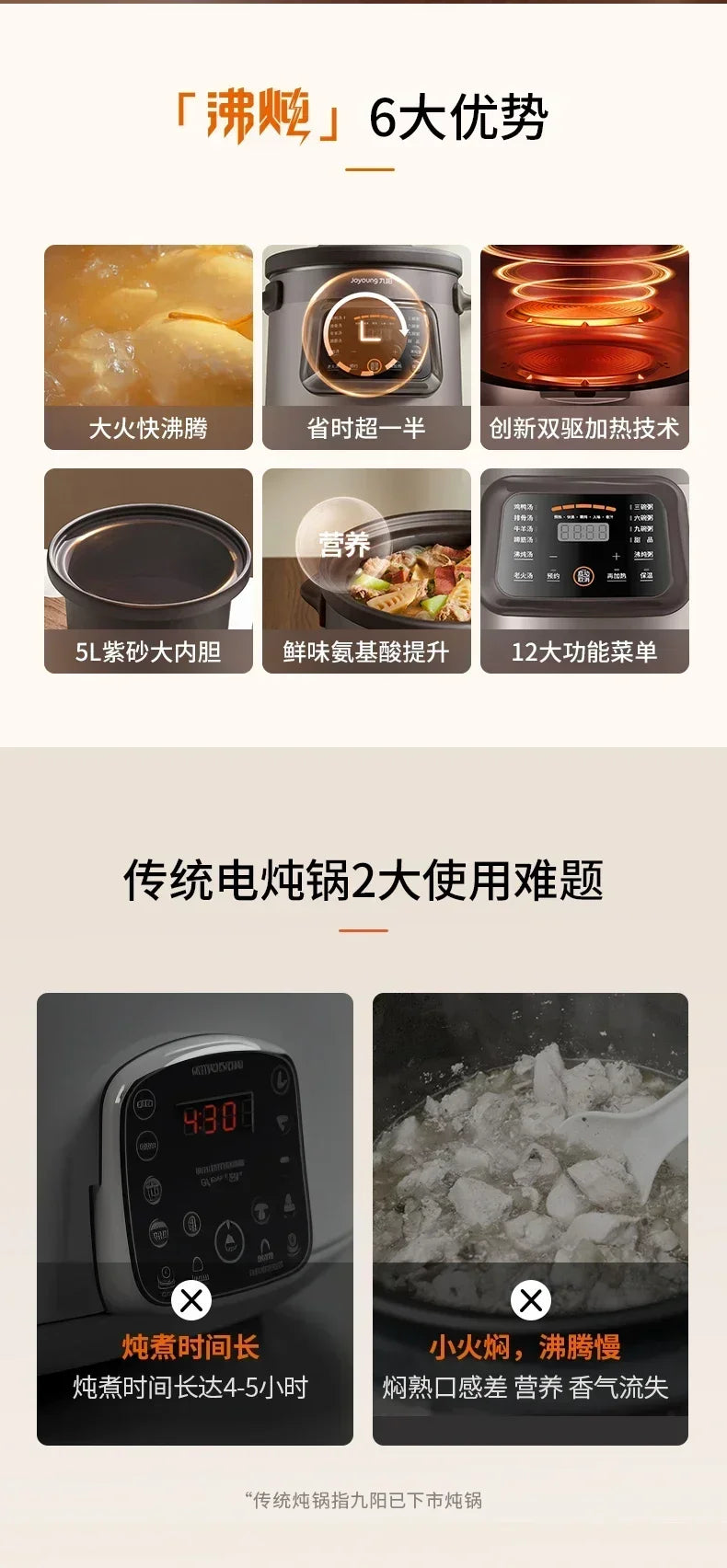 220V Automatic Electric Stew Pot