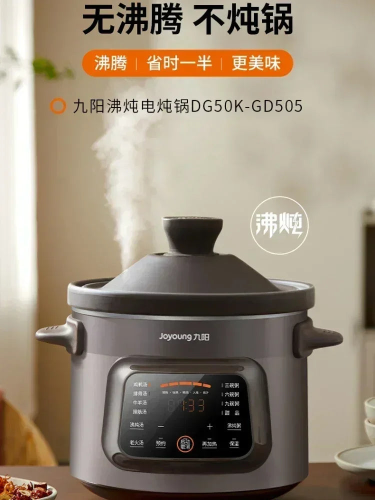 220V Automatic Electric Stew Pot