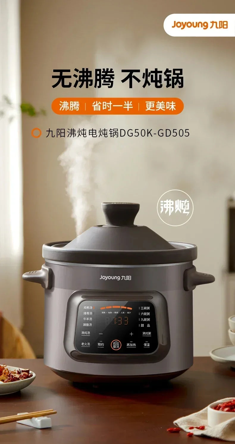 220V Automatic Electric Stew Pot