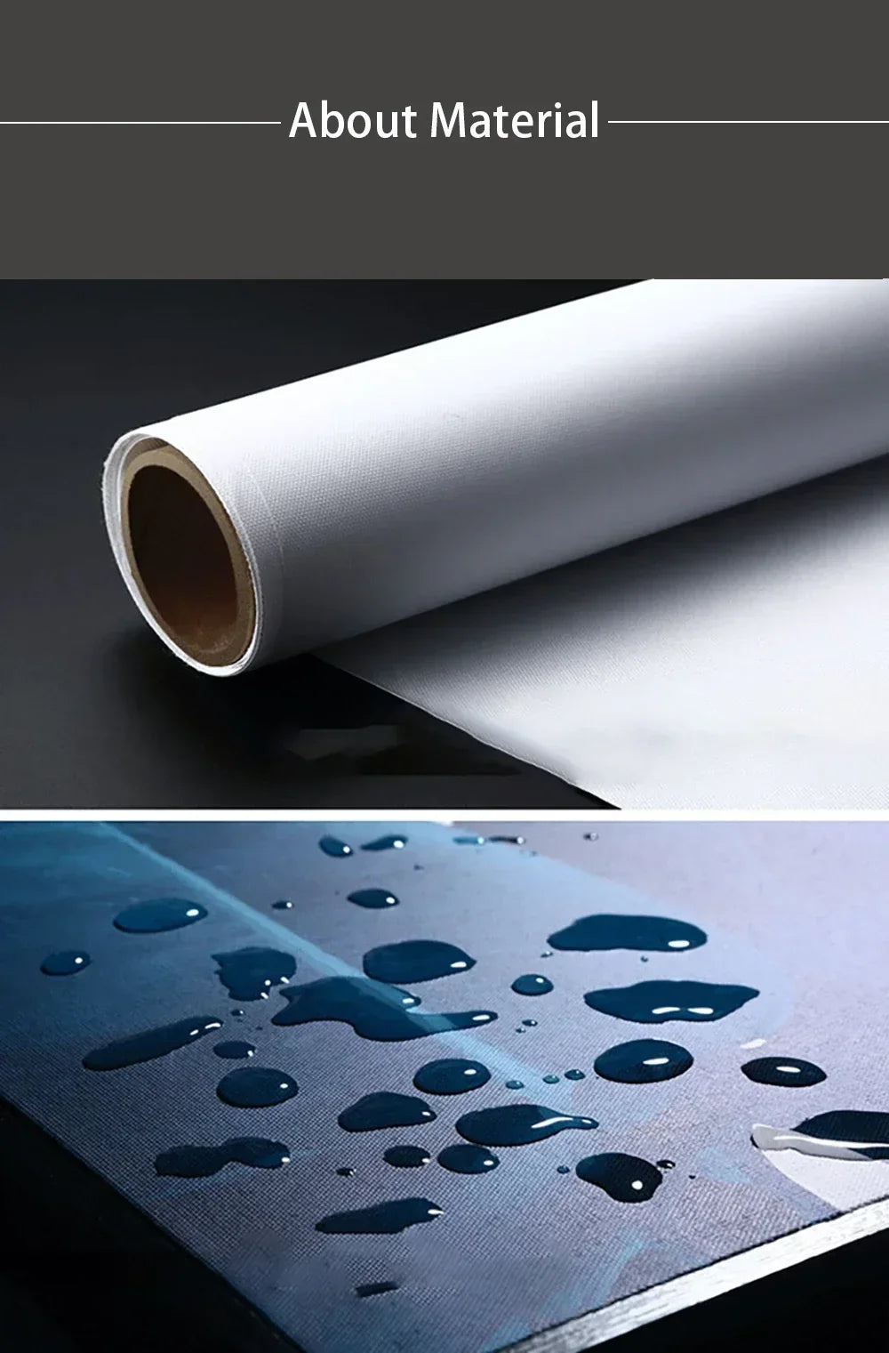 Funny Monkey Toilet Wall Art Poster