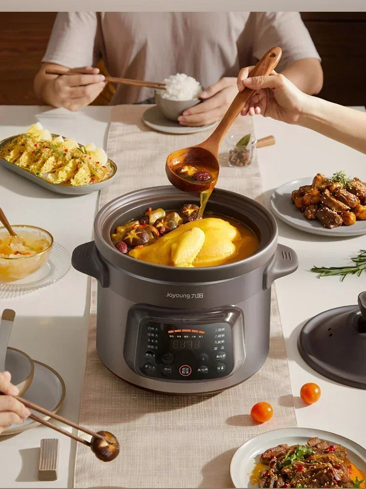 220V Automatic Electric Stew Pot