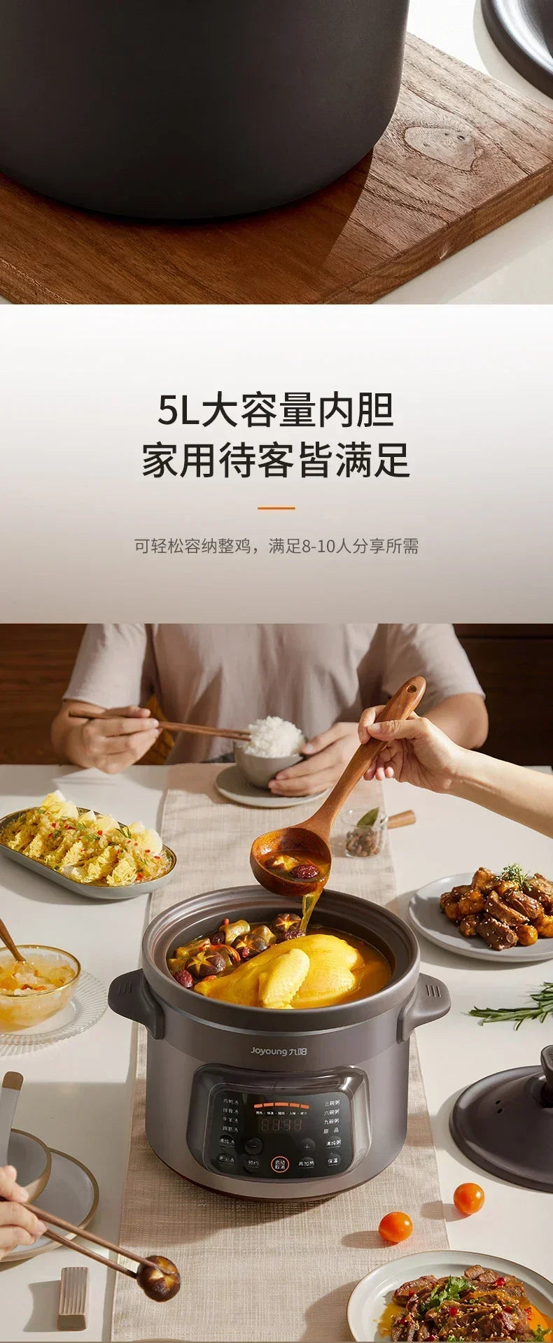 220V Automatic Electric Stew Pot