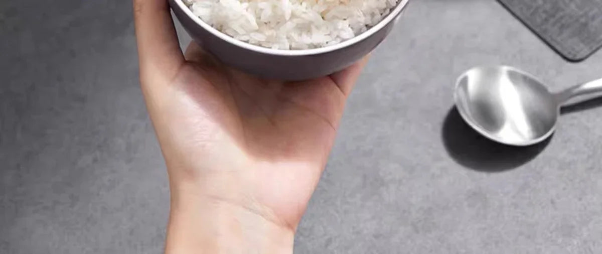 F-40F316L Rice Cooker