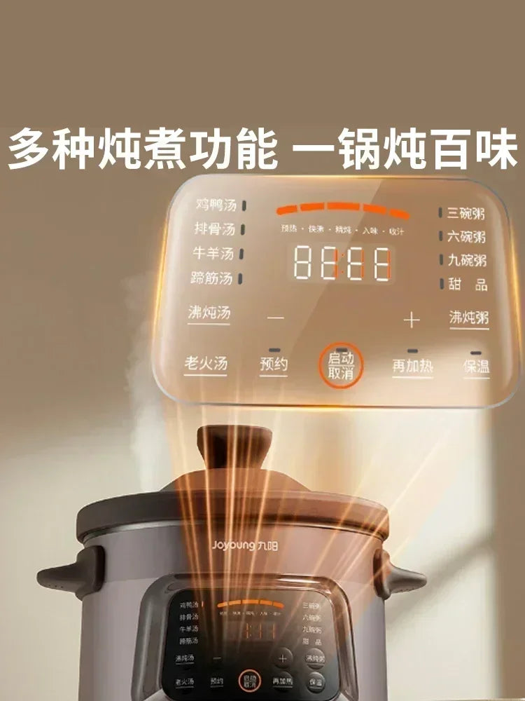 220V Automatic Electric Stew Pot